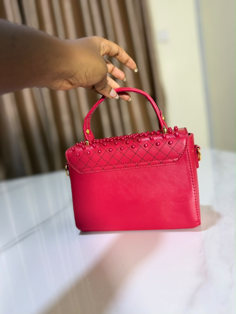 Classic Leather LV Bag